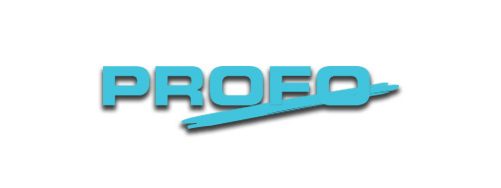 Logo Profo